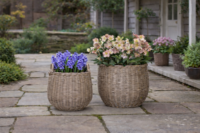 Where to Find the Best Cottage-Style Home Decor (And What Makes It Truly Special)