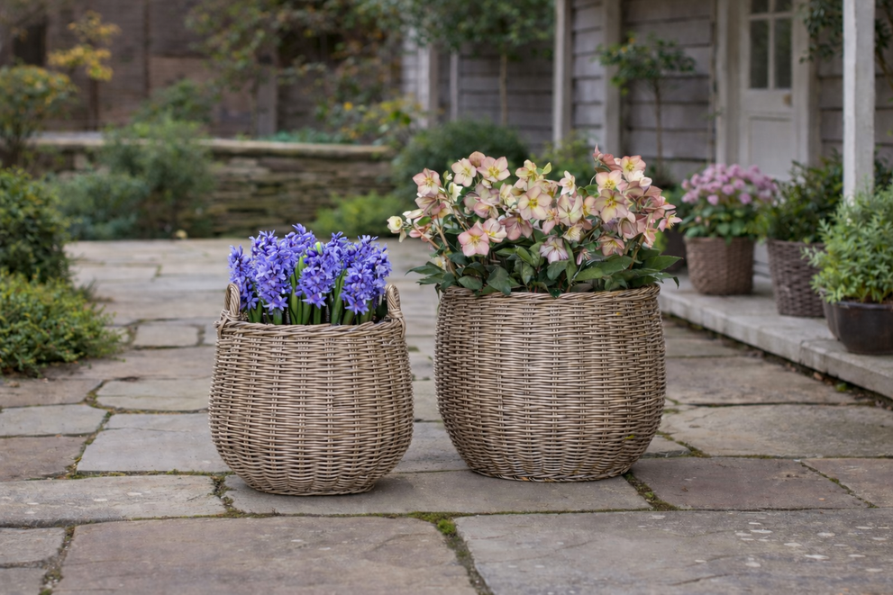 Where to Find the Best Cottage-Style Home Decor (And What Makes It Truly Special)