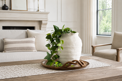Where to Buy an Ivory Stoneware Vase for Cottage-Style Home Decor