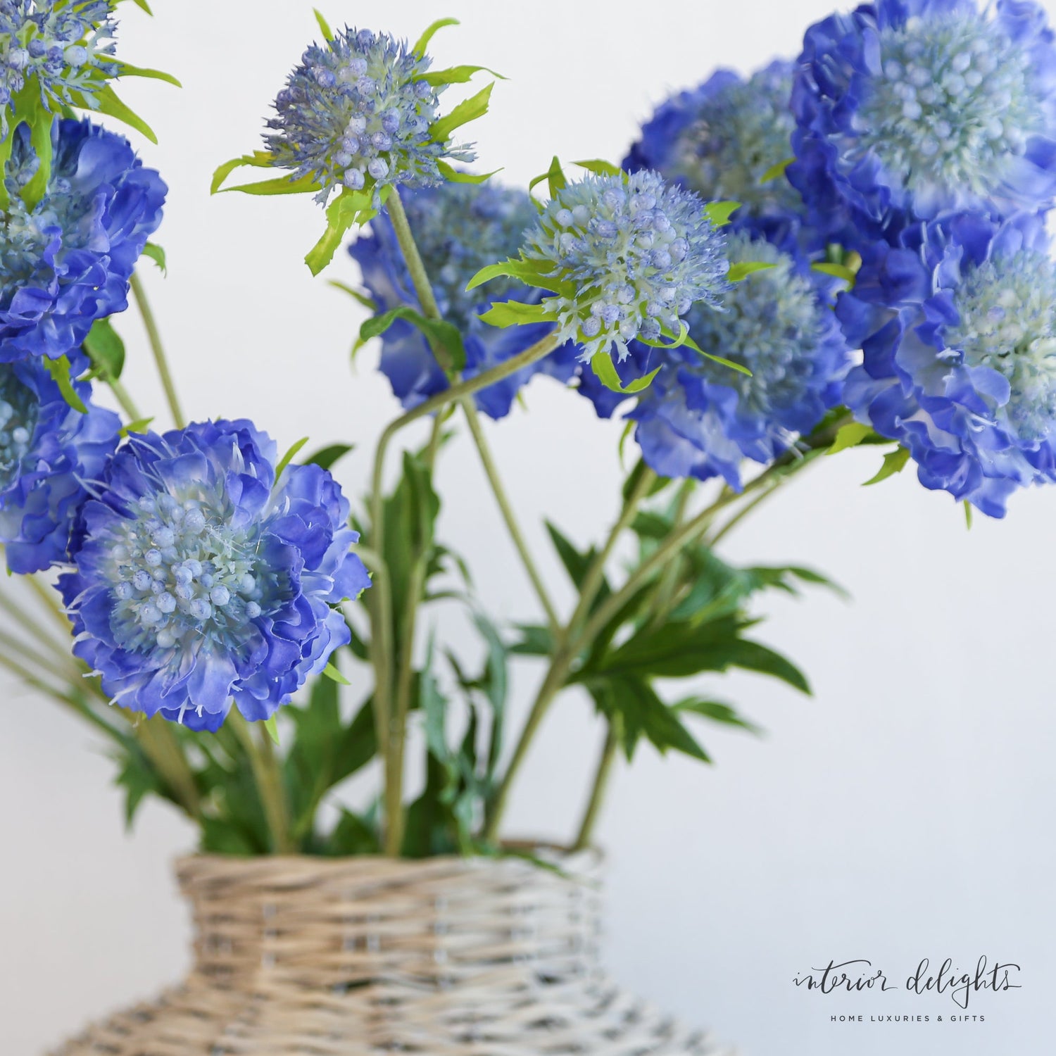 Blue and Purple Flowers