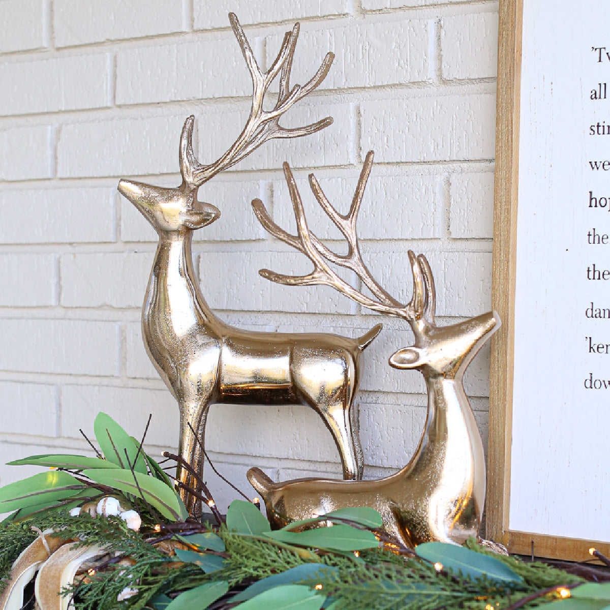 Reindeer