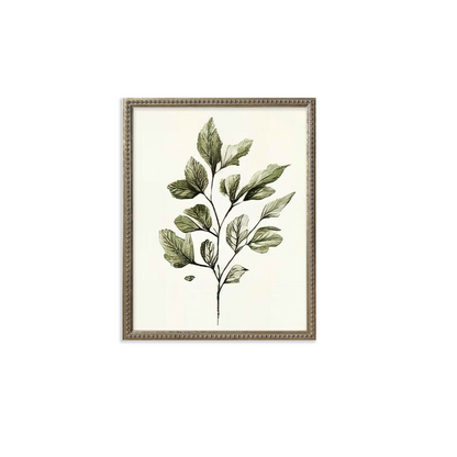 16x20 Green Botanicals set of 6
