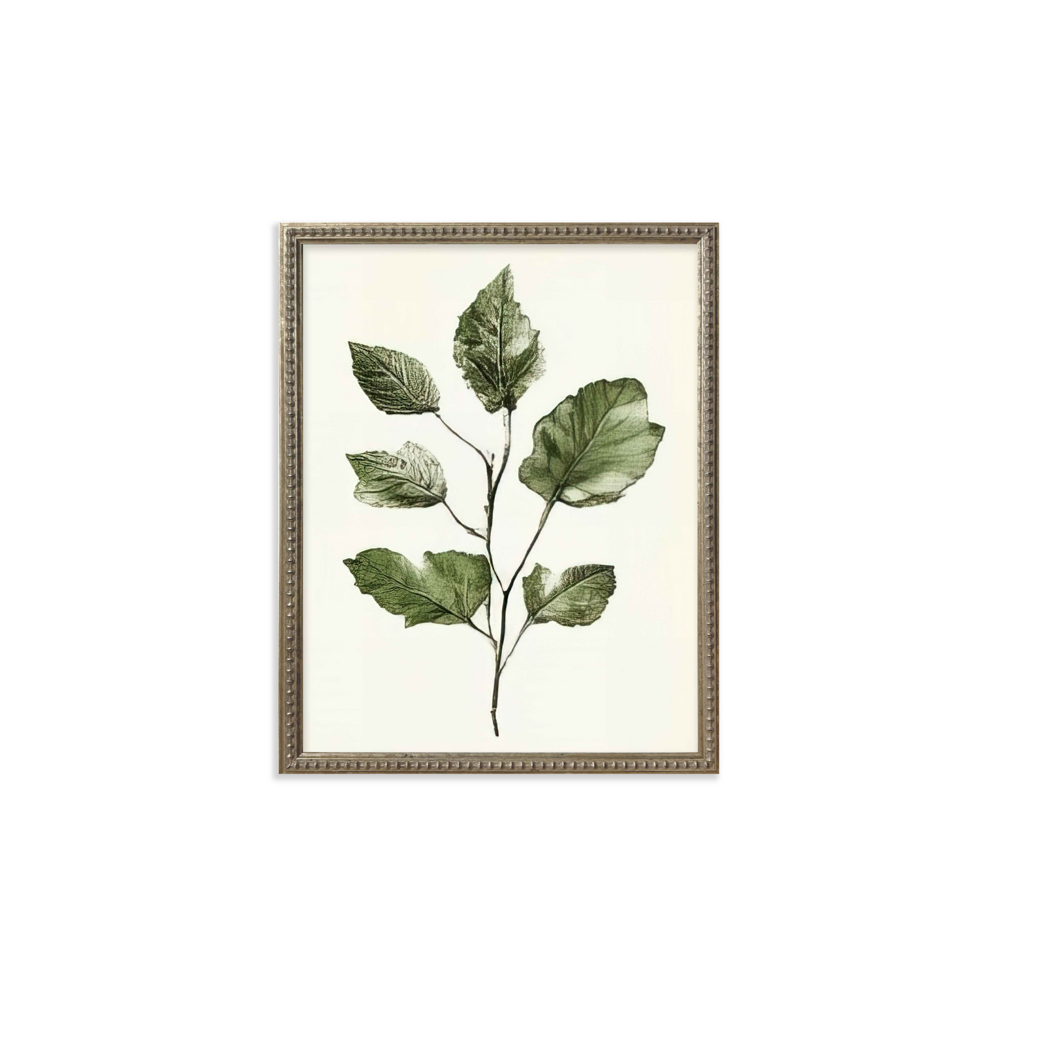 16x20 Green Botanicals set of 6