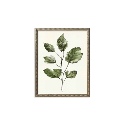 16x20 Green Botanicals set of 6