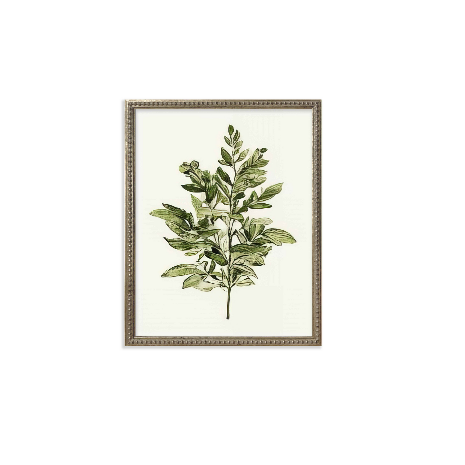 16x20 Green Botanicals set of 6