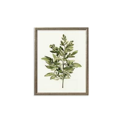 16x20 Green Botanicals set of 6