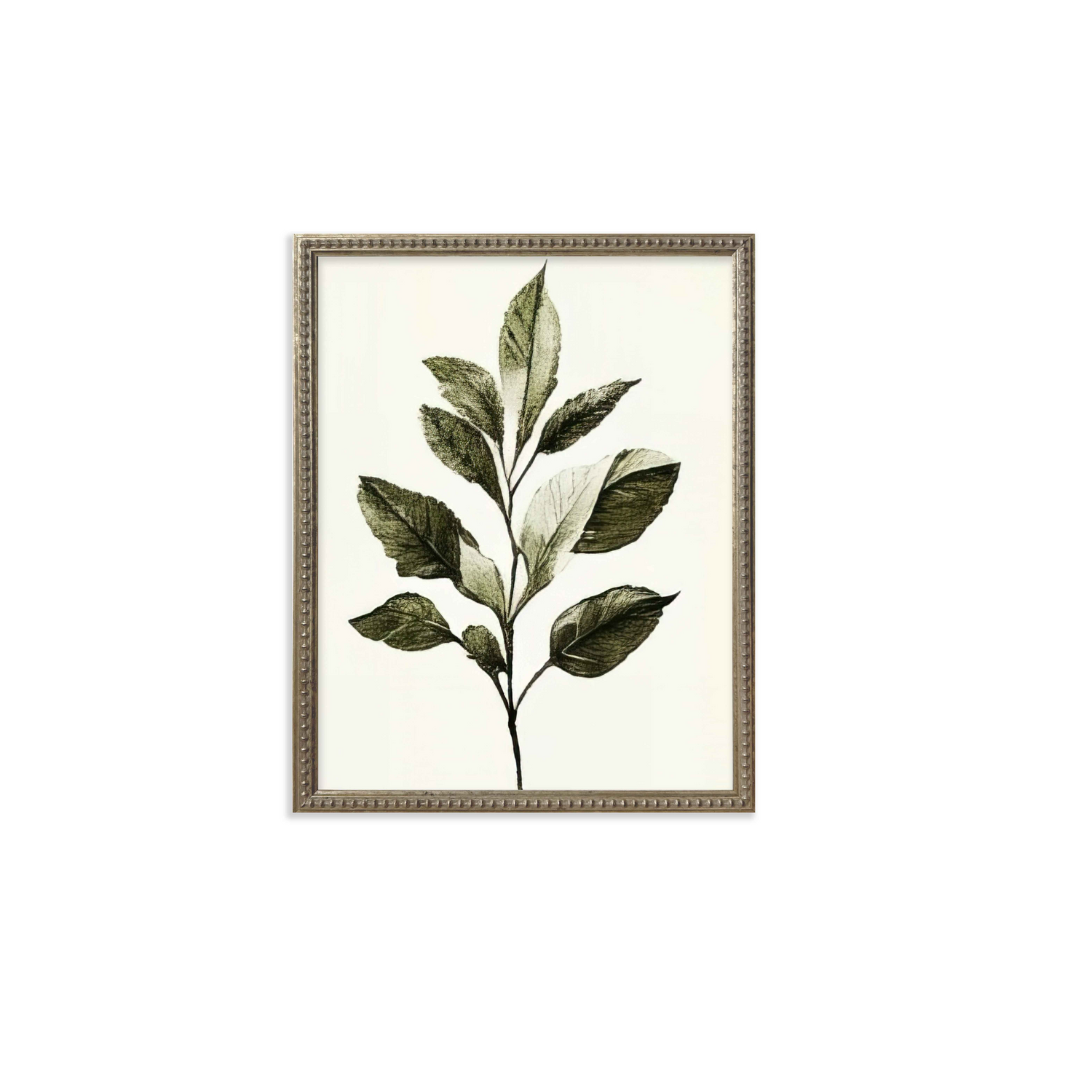 16x20 Green Botanicals set of 6
