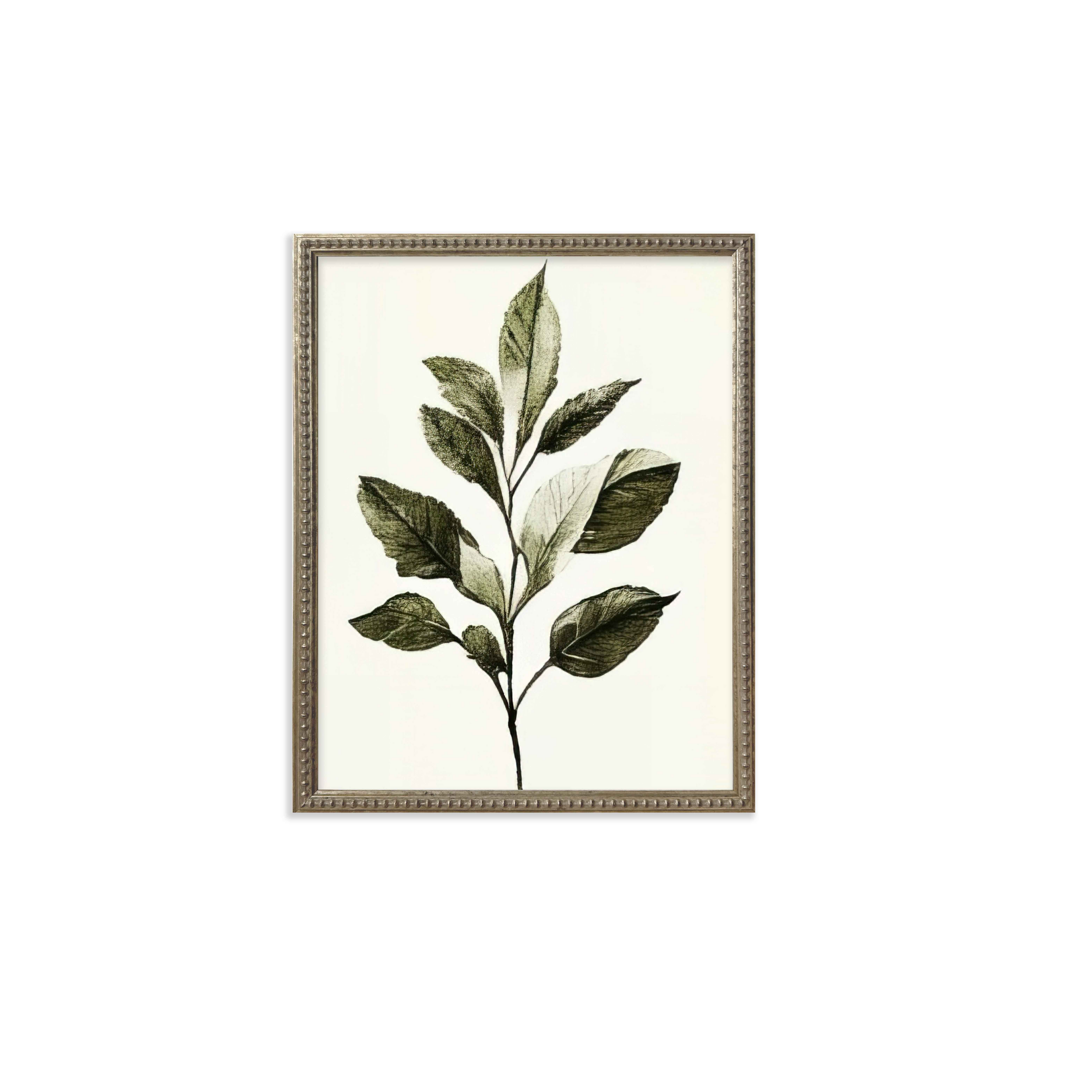 16x20 Green Botanicals set of 6