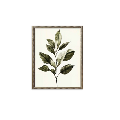 16x20 Green Botanicals set of 6