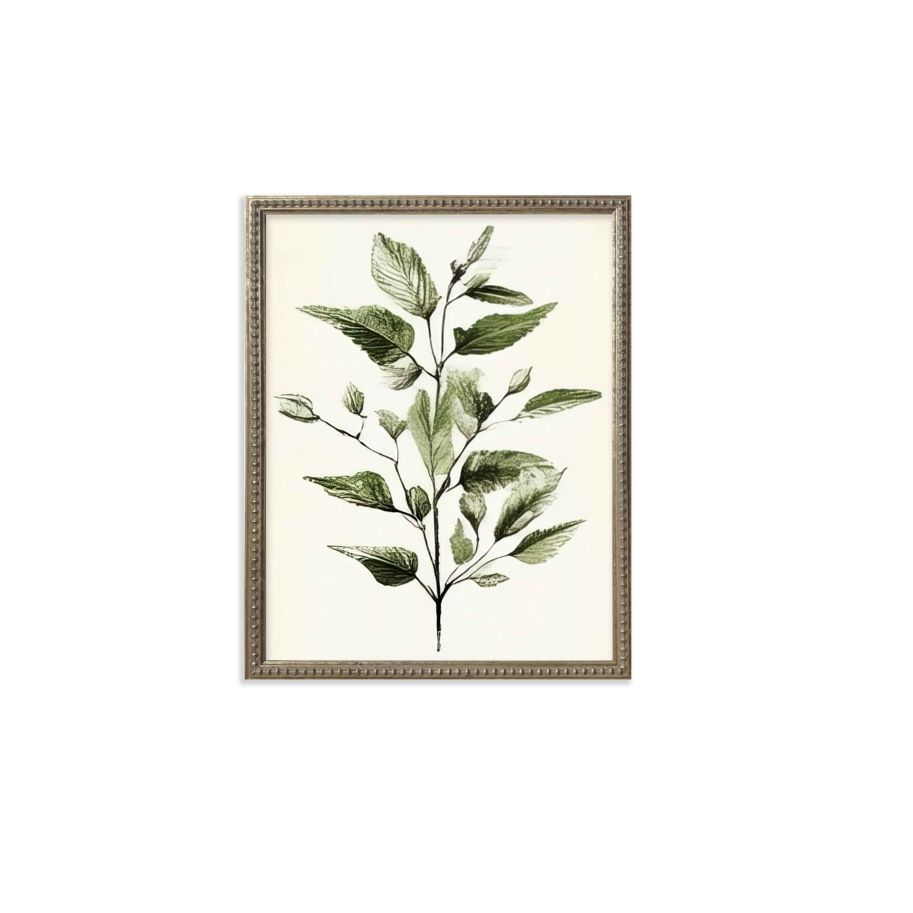 16x20 Green Botanicals set of 6