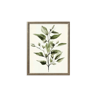 16x20 Green Botanicals set of 6