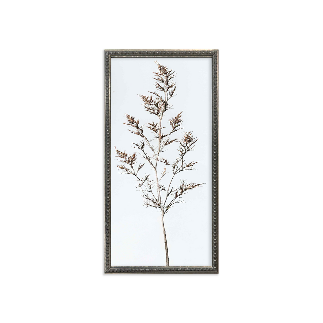 12x24 Wispy Botanicals set of 4