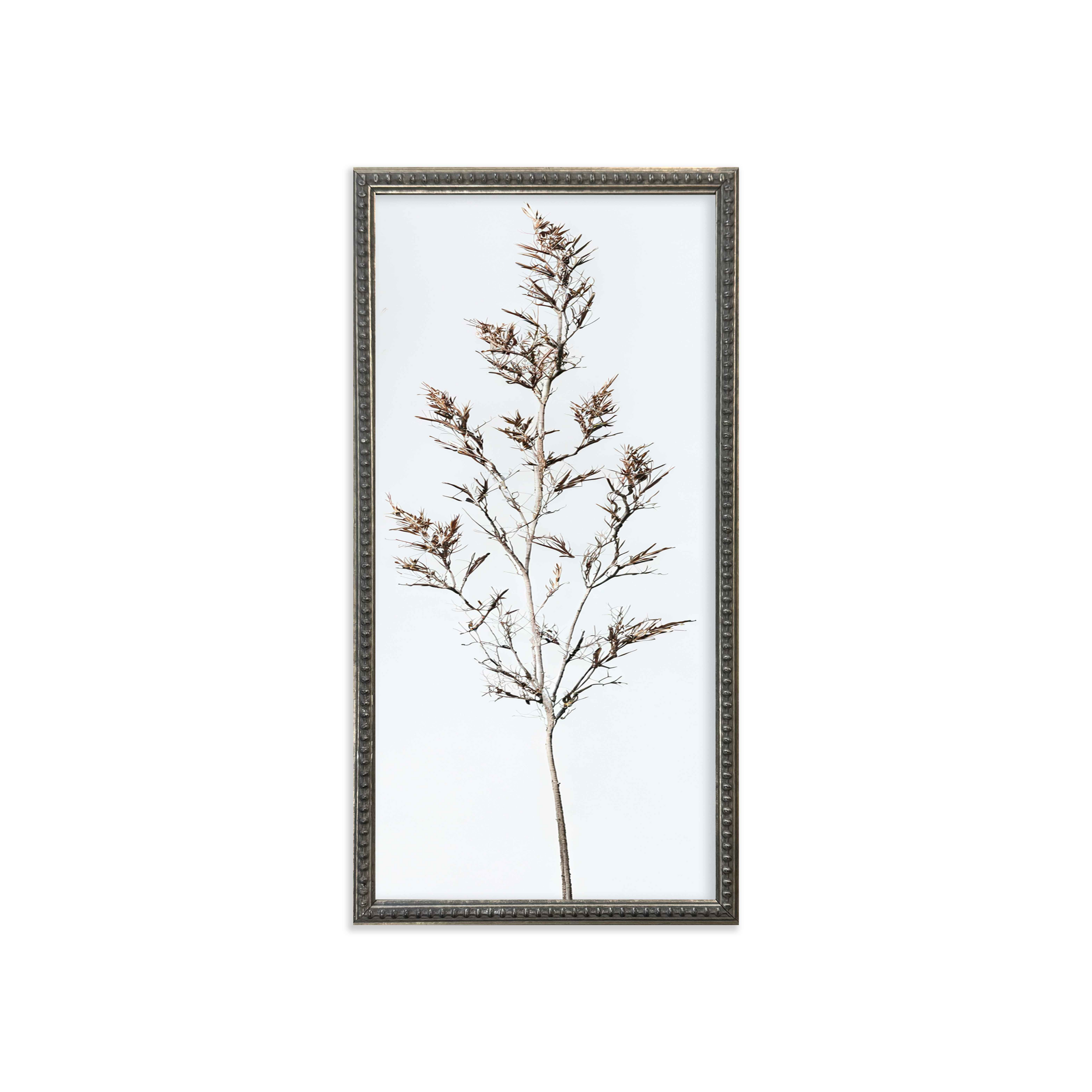 12x24 Wispy Botanicals set of 4