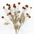 23" Fall Wind Dancer Bush, Brown - Interior Delights