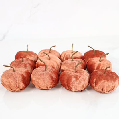 Red Rocks Velvet Mini Pumpkins- Set of 12
