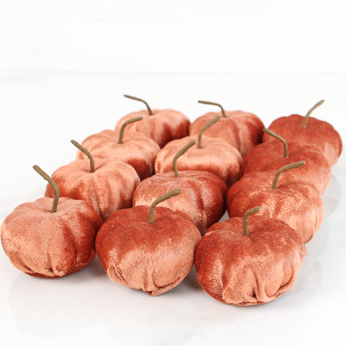 Red Rocks Velvet Mini Pumpkins - Set of 12, featuring soft champagne light brown mini pumpkins perfect for autumn decor.