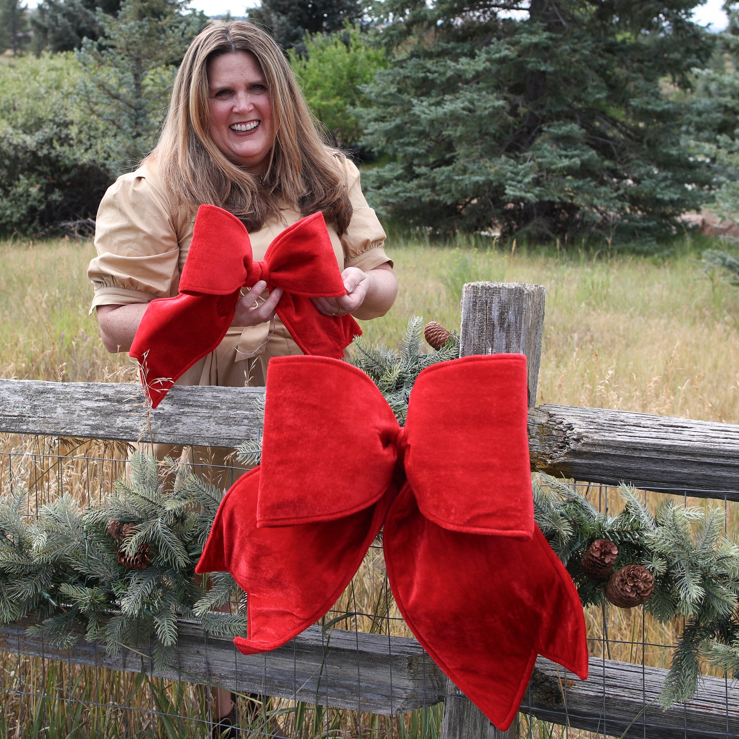 Small Red Outdoor Velvet Bow