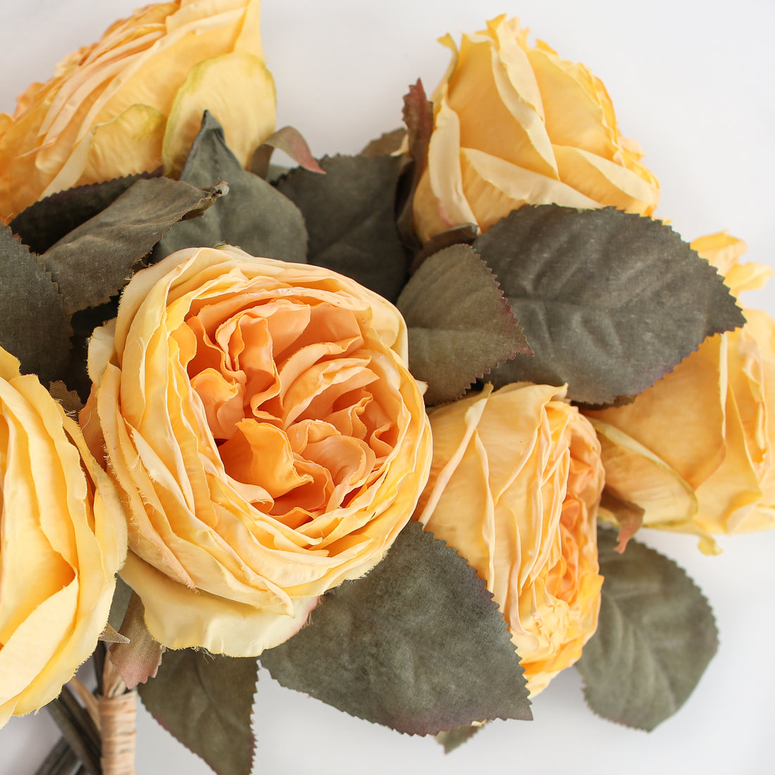 12&quot; English Rose Bundle in Yellow