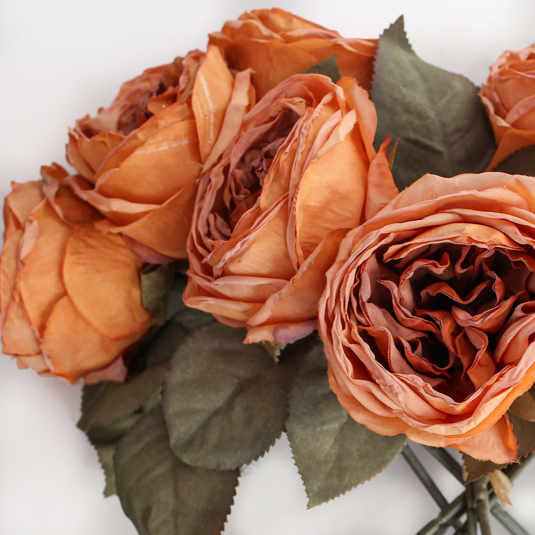 12&quot; English Rose Bundle in Orange