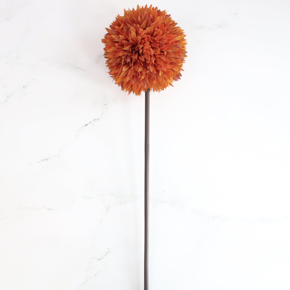 Orange Allium Stem