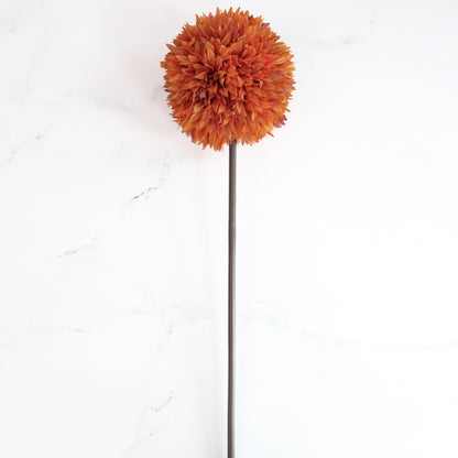 Orange Allium Stem
