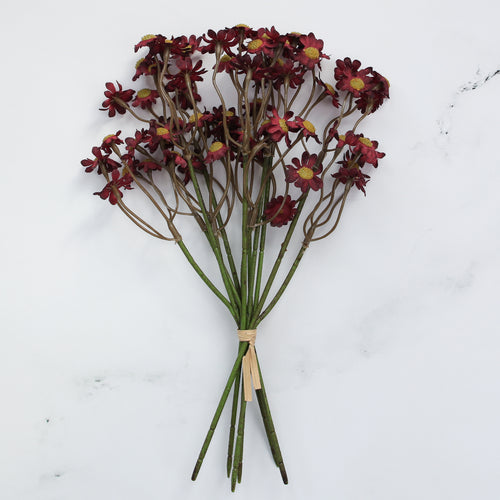 Vibrant 10" Burgundy Chamomile Flower Bundle