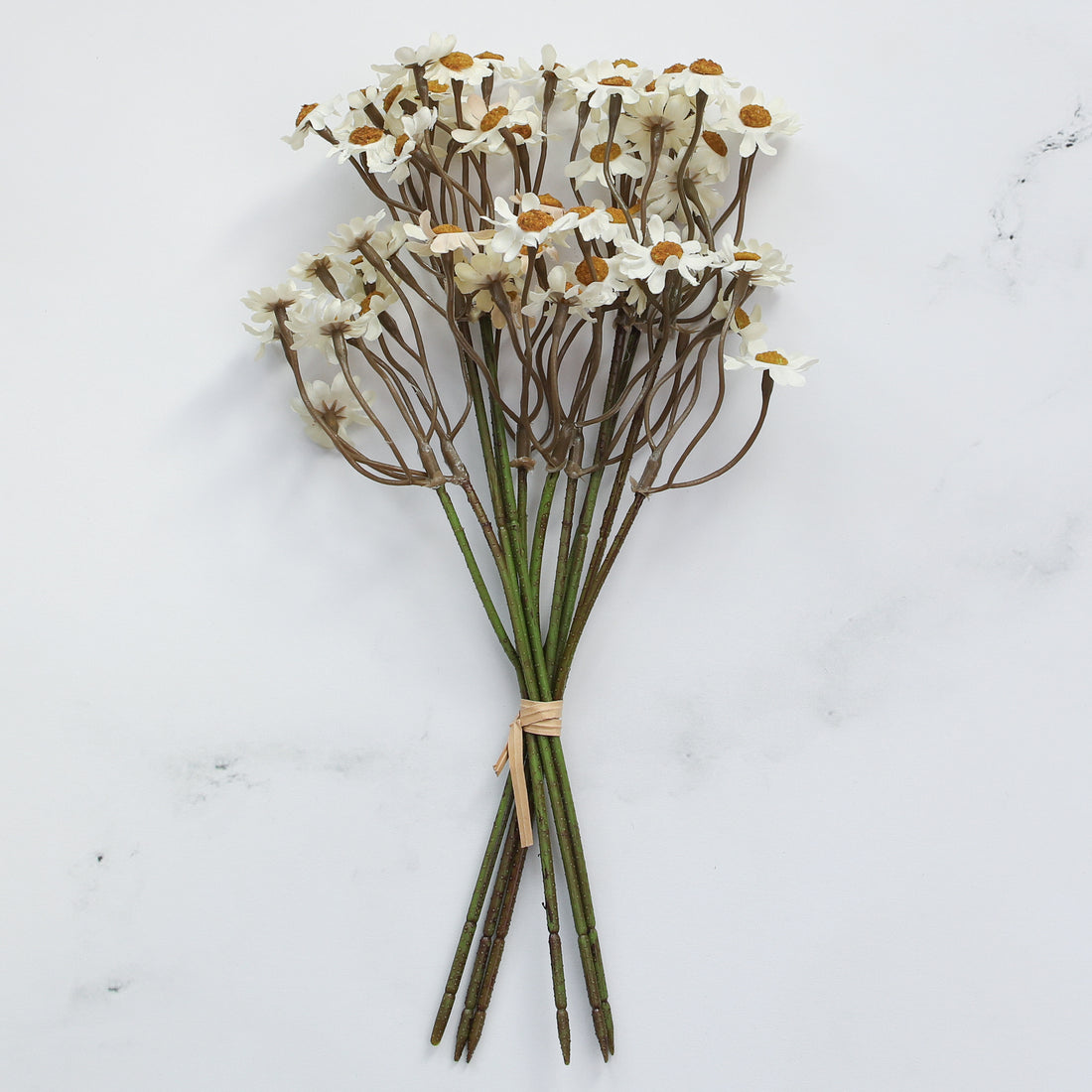 10" White Chamomile Bundle