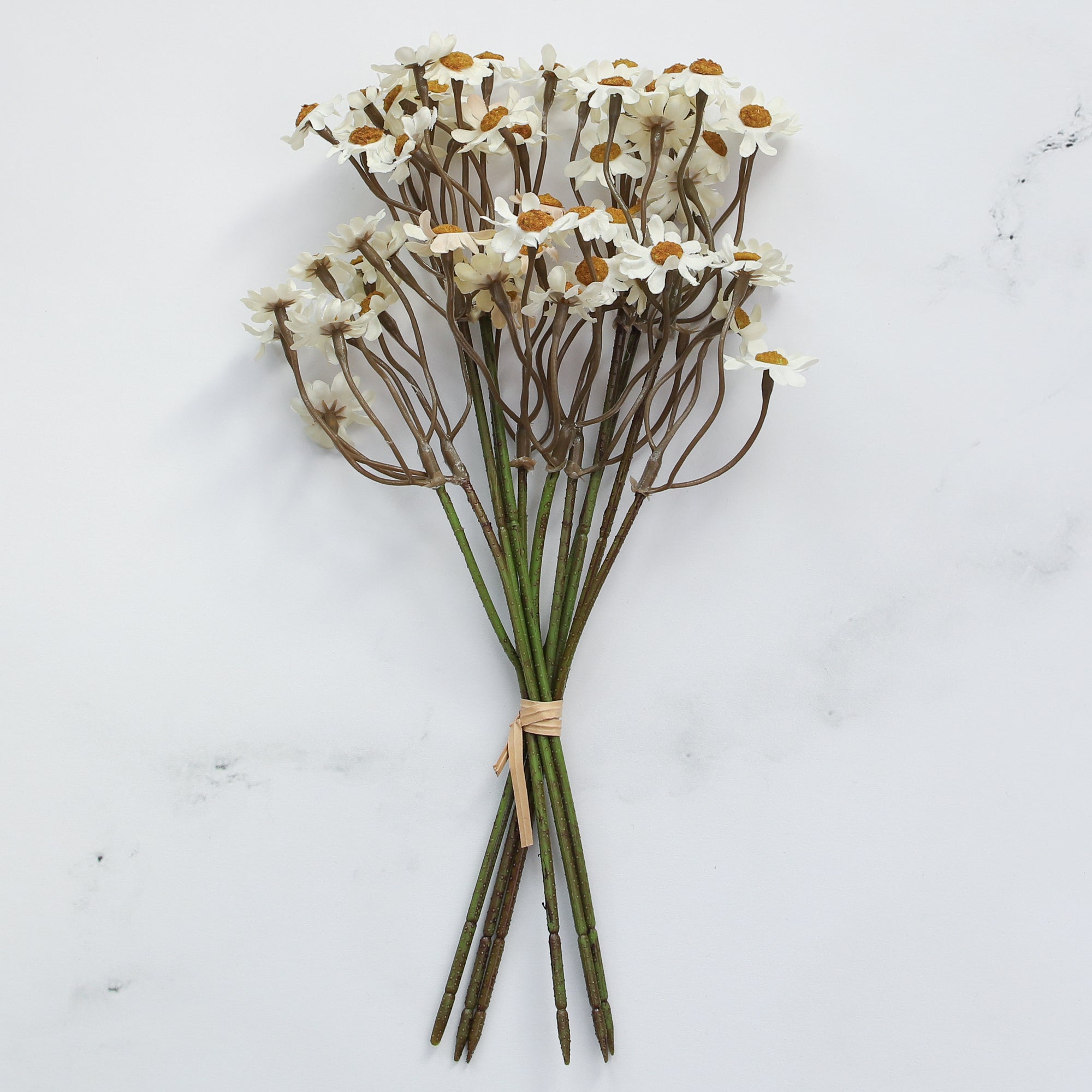 10&quot; White Chamomile Bundle