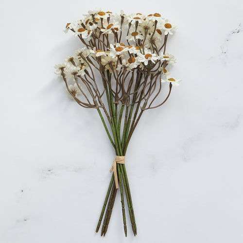 10" White Chamomile Bundle - Interior Delights