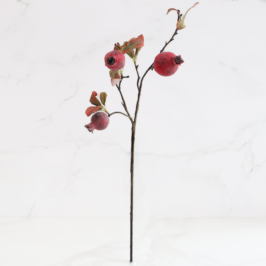 22&quot; Pomegranate Stem