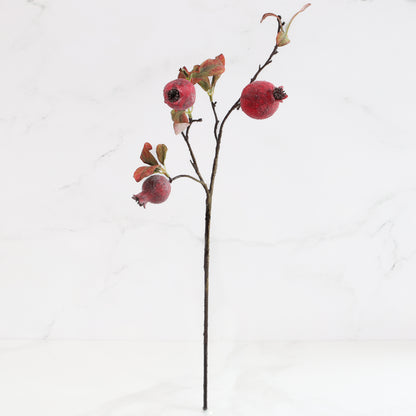 22&quot; Pomegranate Stem