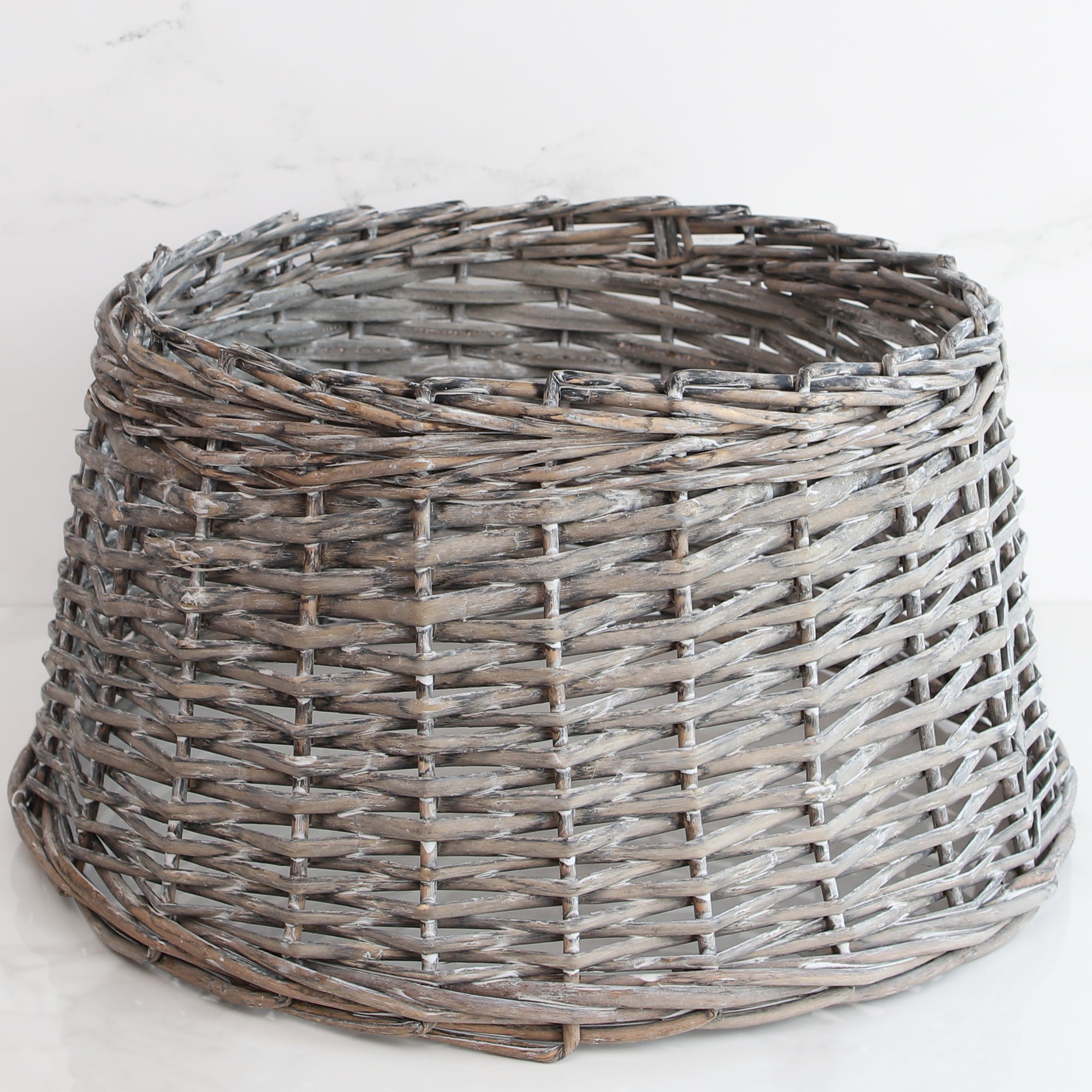 Small Willow Tree Ring