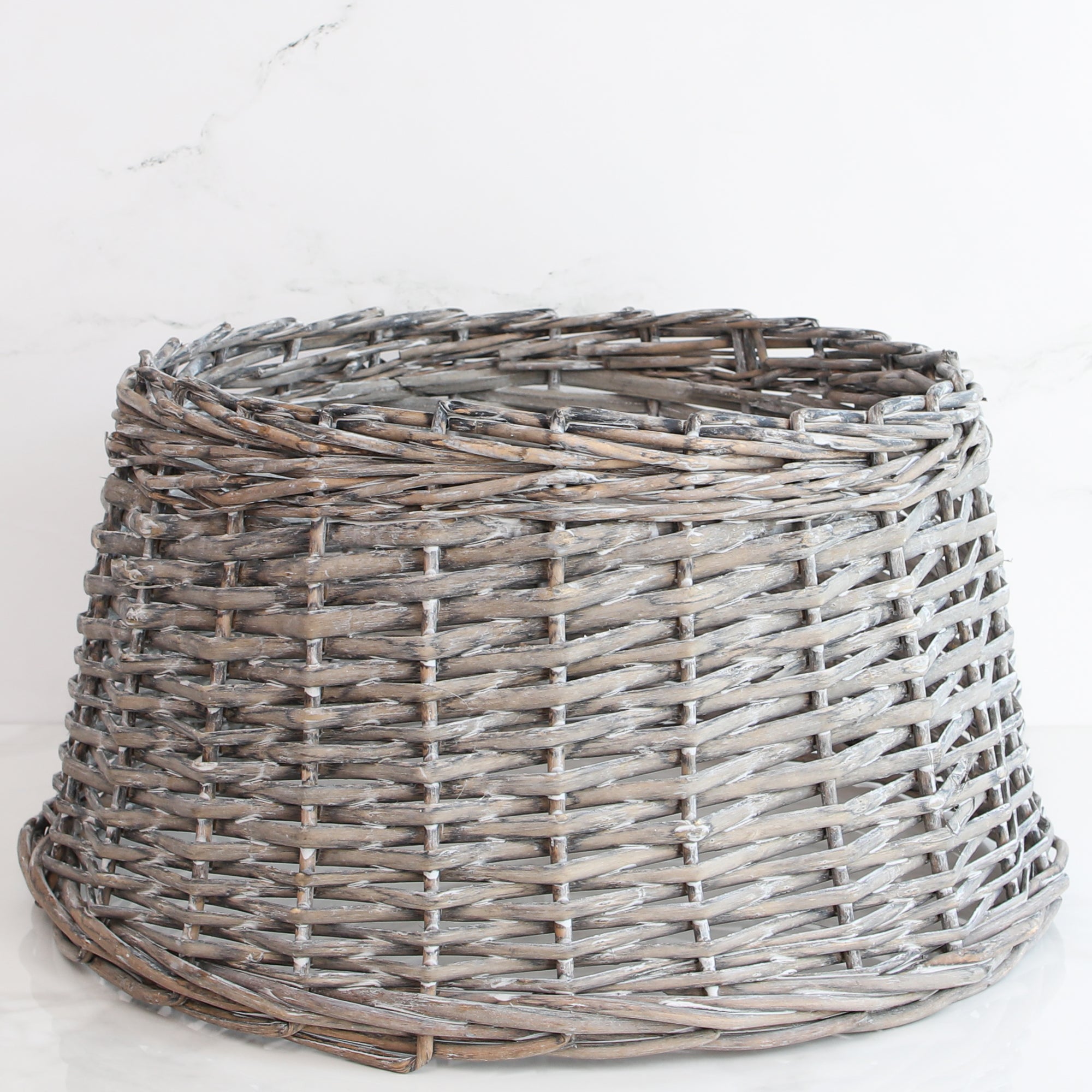 Small Willow Tree Ring