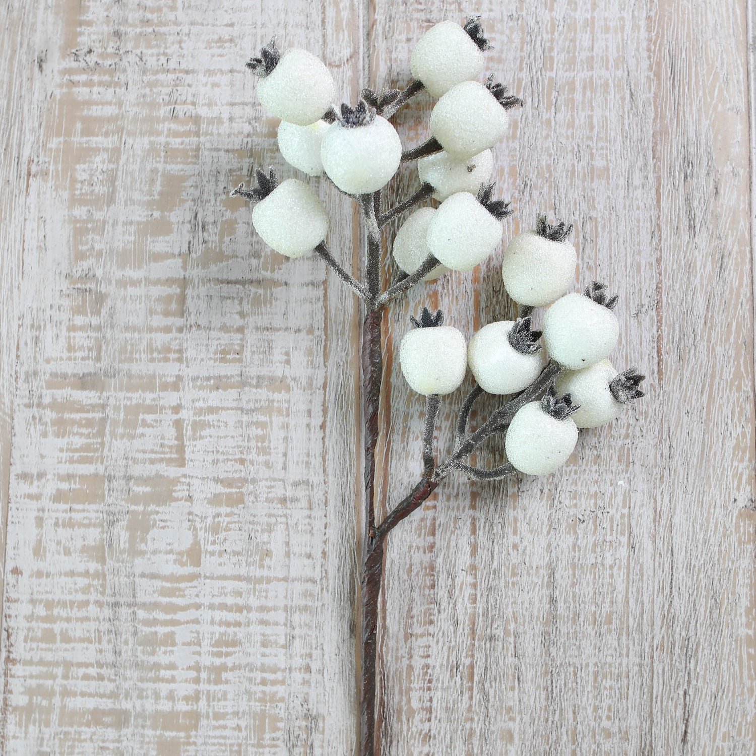 White Rose Hip Spray