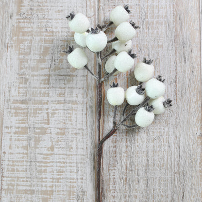 White Rose Hip Spray