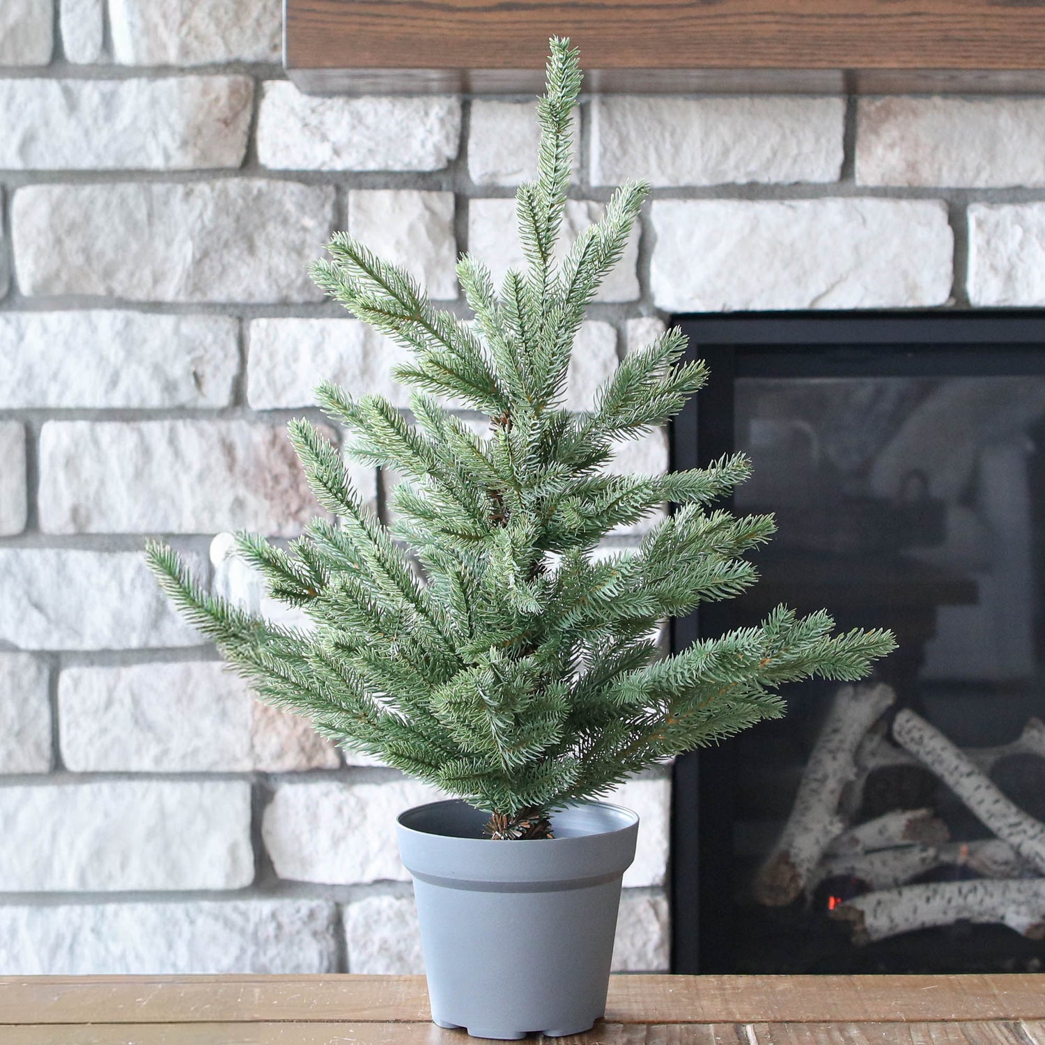 Norway Mini Pine Tree-23in