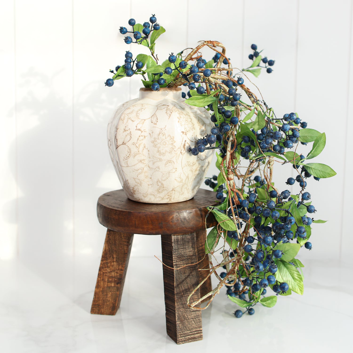 hanging blueberry plant 42" Berry Vine Blue Gray