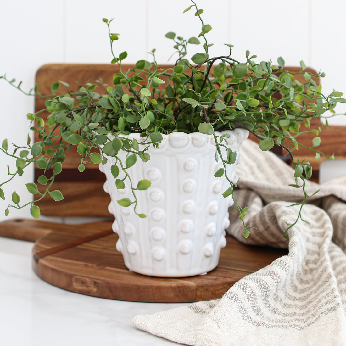 White Ceramic Dot Planter