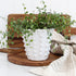 White Ceramic Dot Planter - Interior Delights