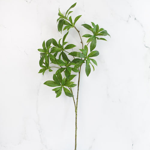 34" Mock Orange Green Leaf Spray - Interior Delights