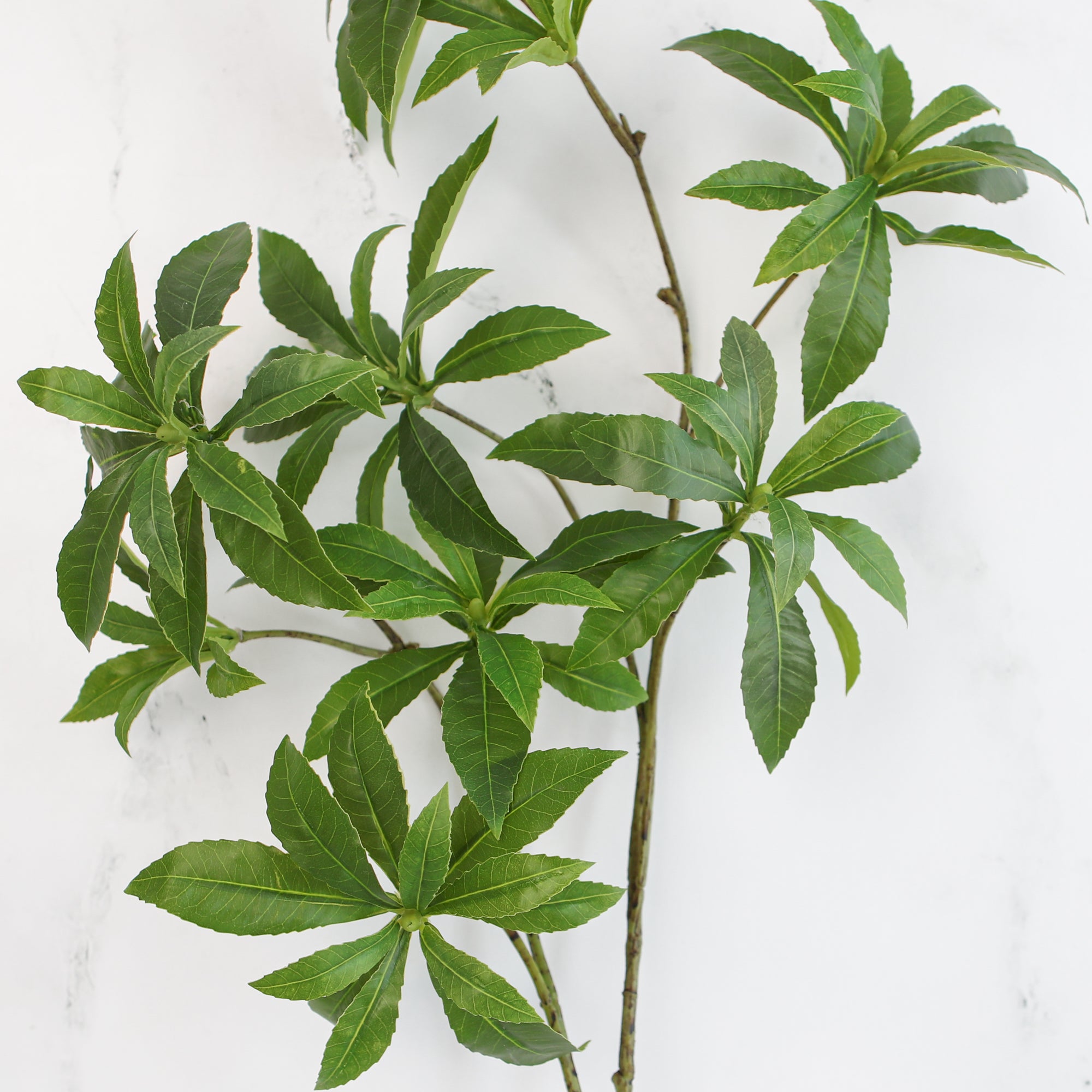 34" Mock Orange Green Leaf Spray - Interior Delights