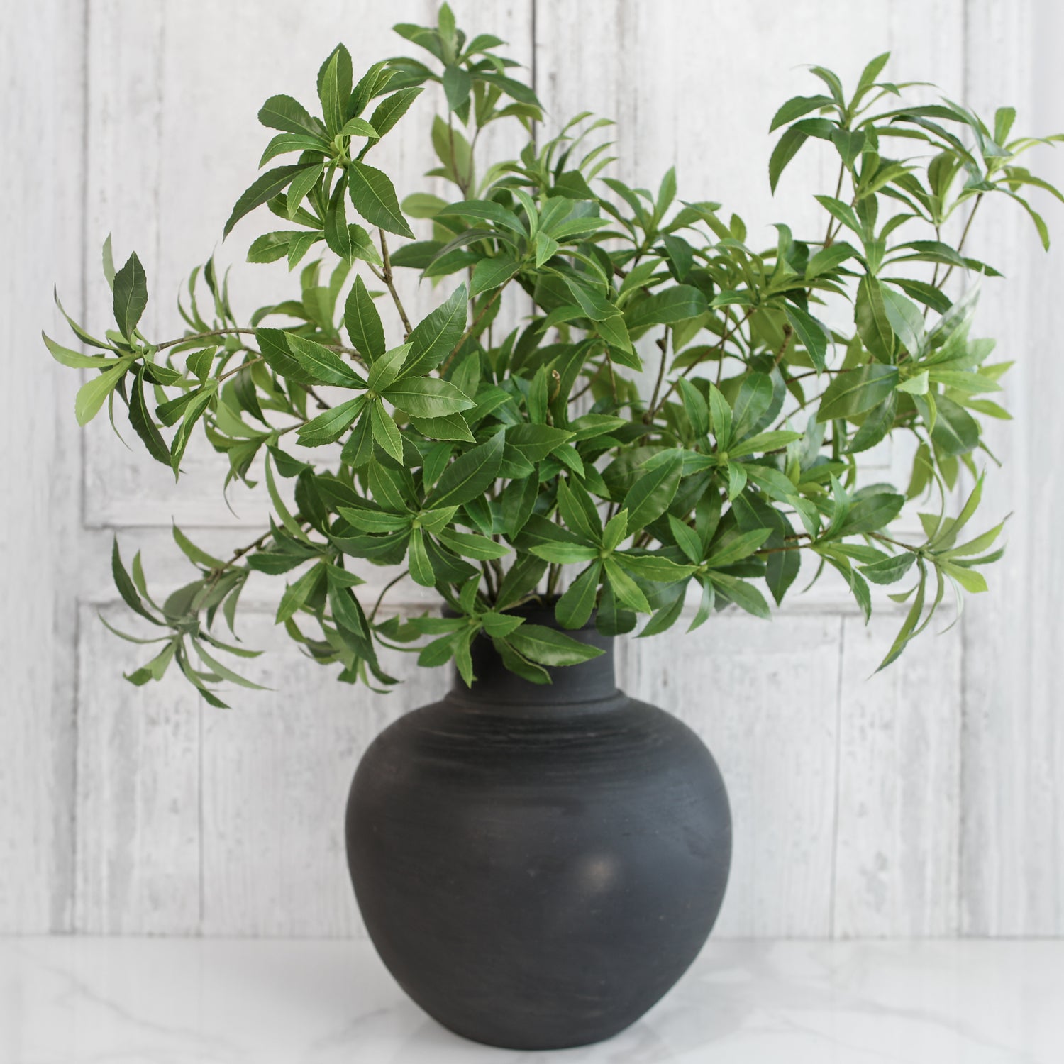 13.5 in Black Vase with Narrow Opening - Interior Delights