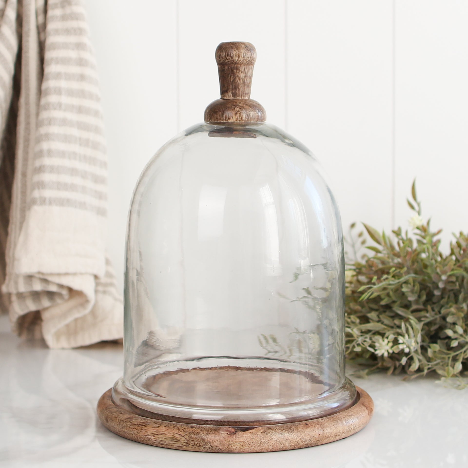 Glass and Wood Cloche
