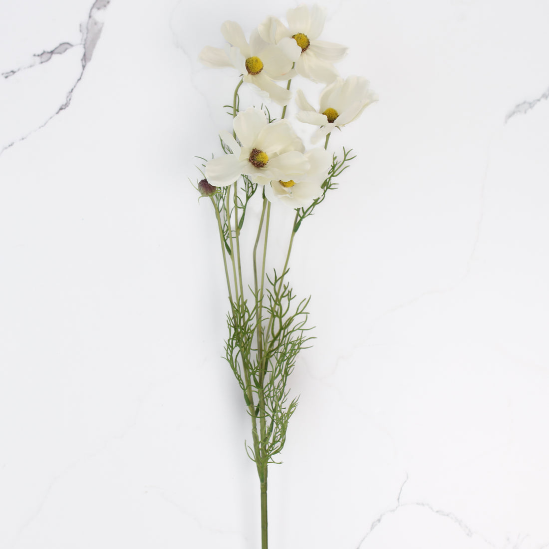 32" White Cosmos Stem