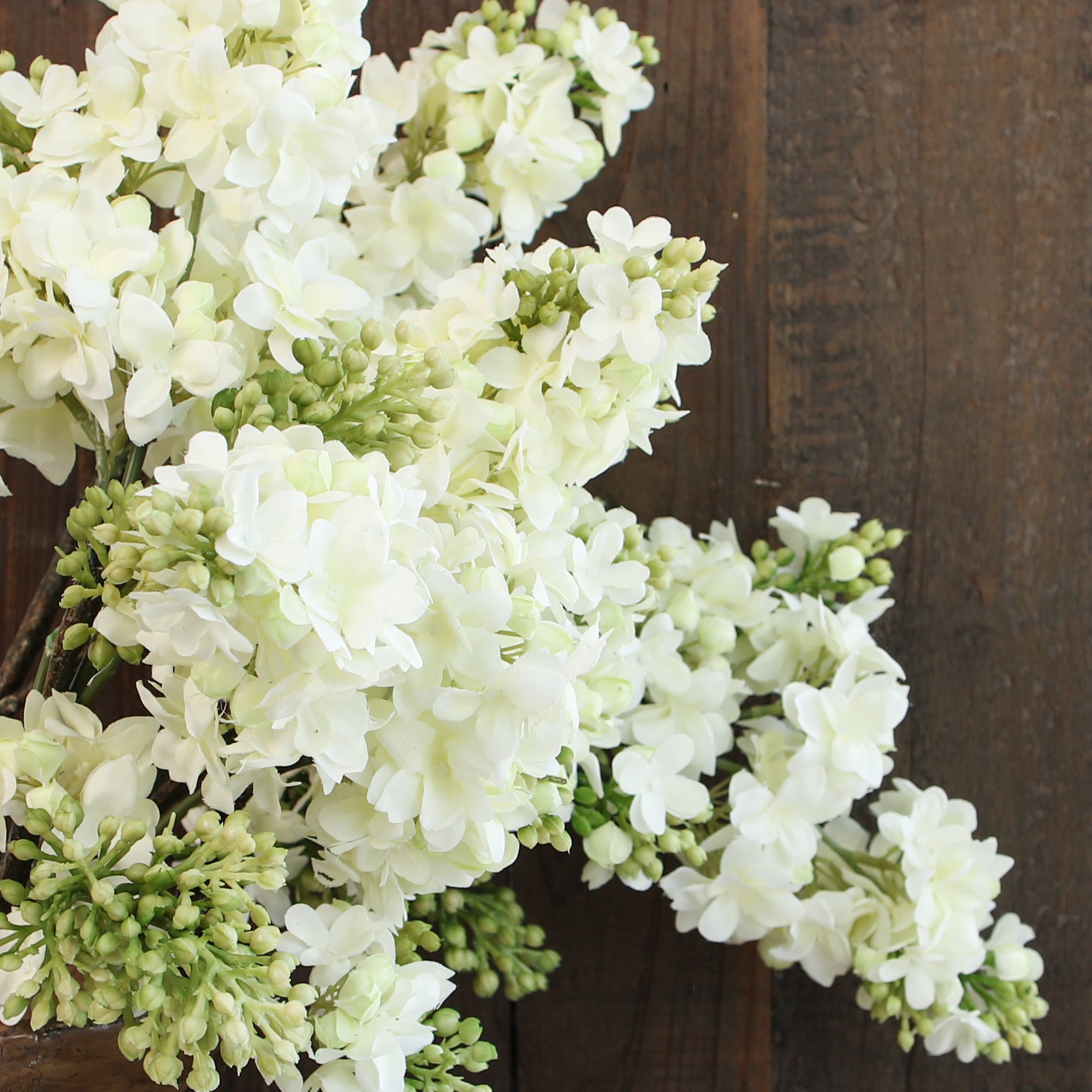 White Lilac Spray - Interior Delights