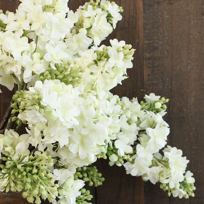 White Lilac Spray - Interior Delights