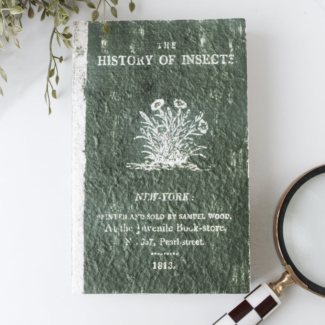 Vintage Style Journal, History of Insects