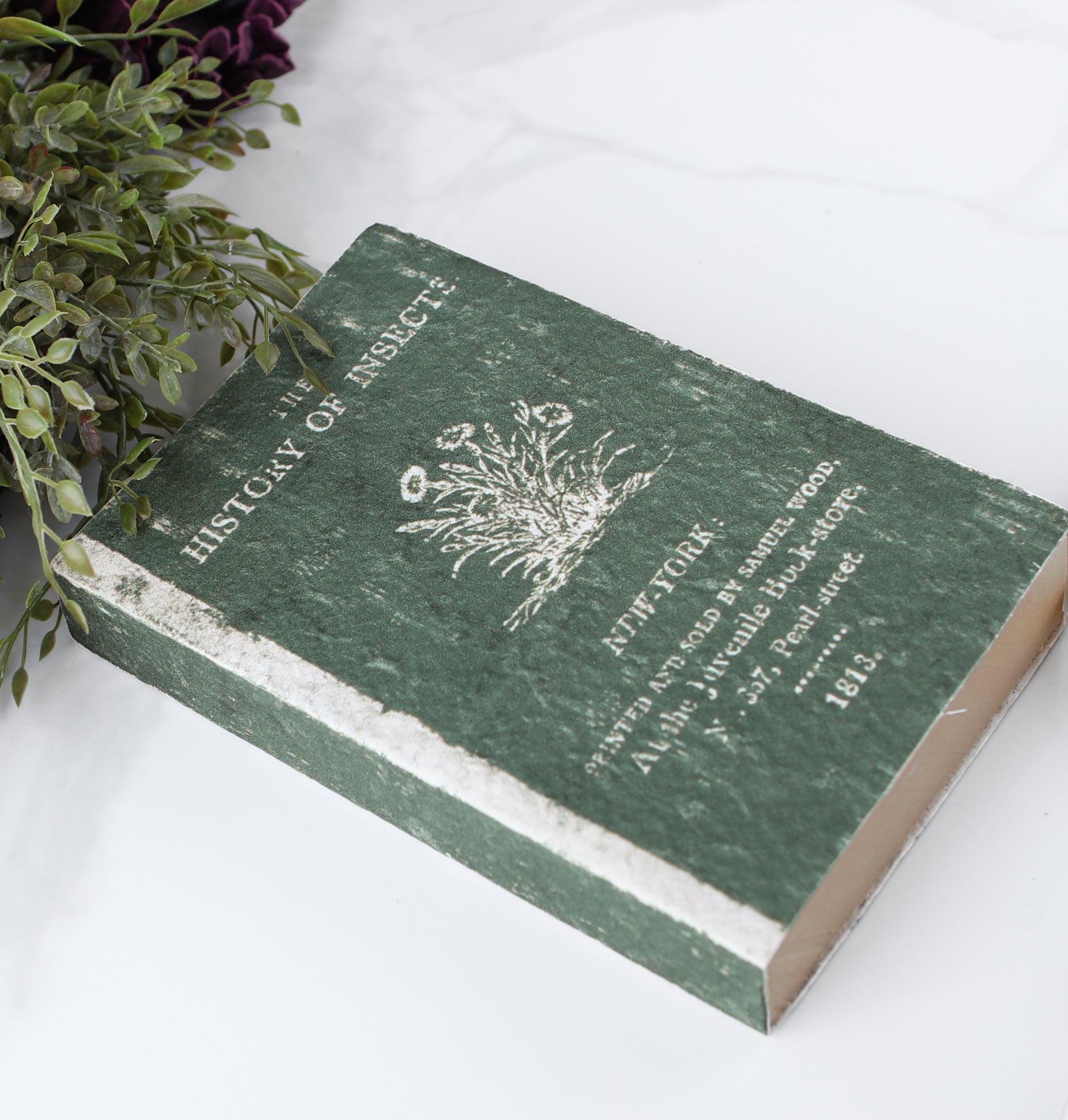 Vintage Style Journal, History of Insects