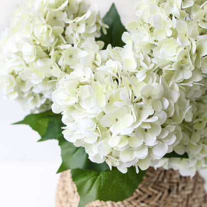 31" Cream Hydrangea Stem