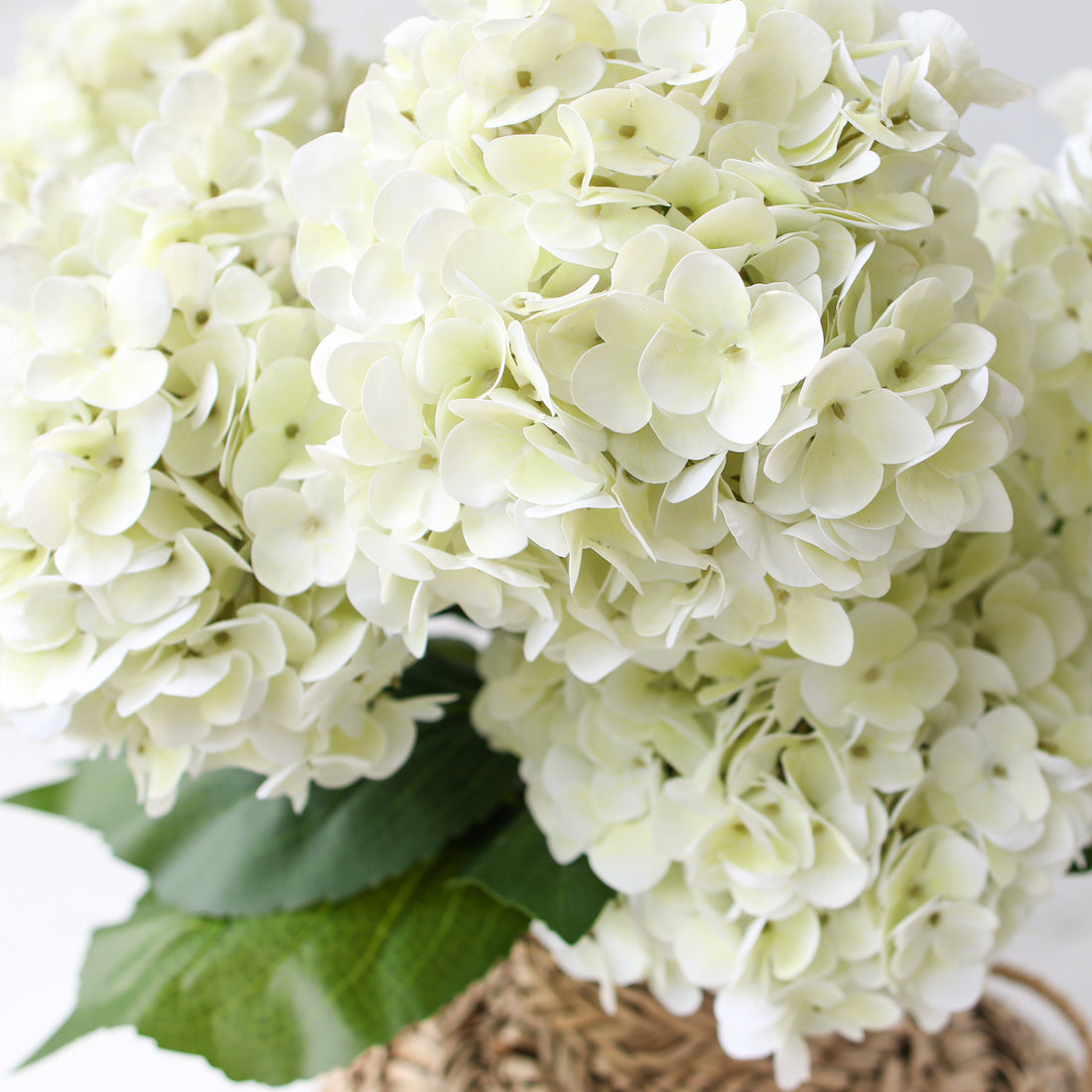 31" Cream Hydrangea Stem